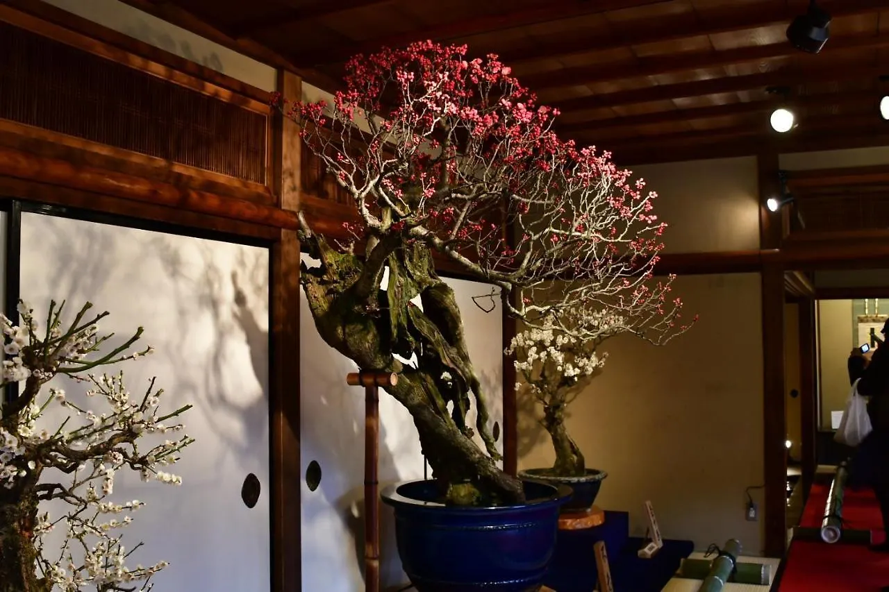 شقة Cozy House 207, Free Wifi A Rented Electric Bicycle كيوتو اليابان